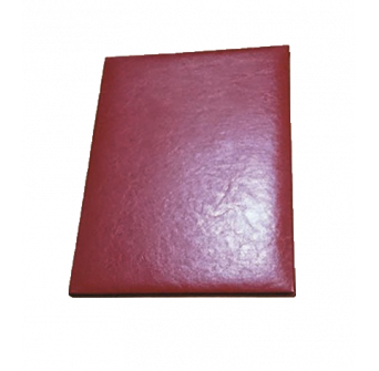 Папка представительская